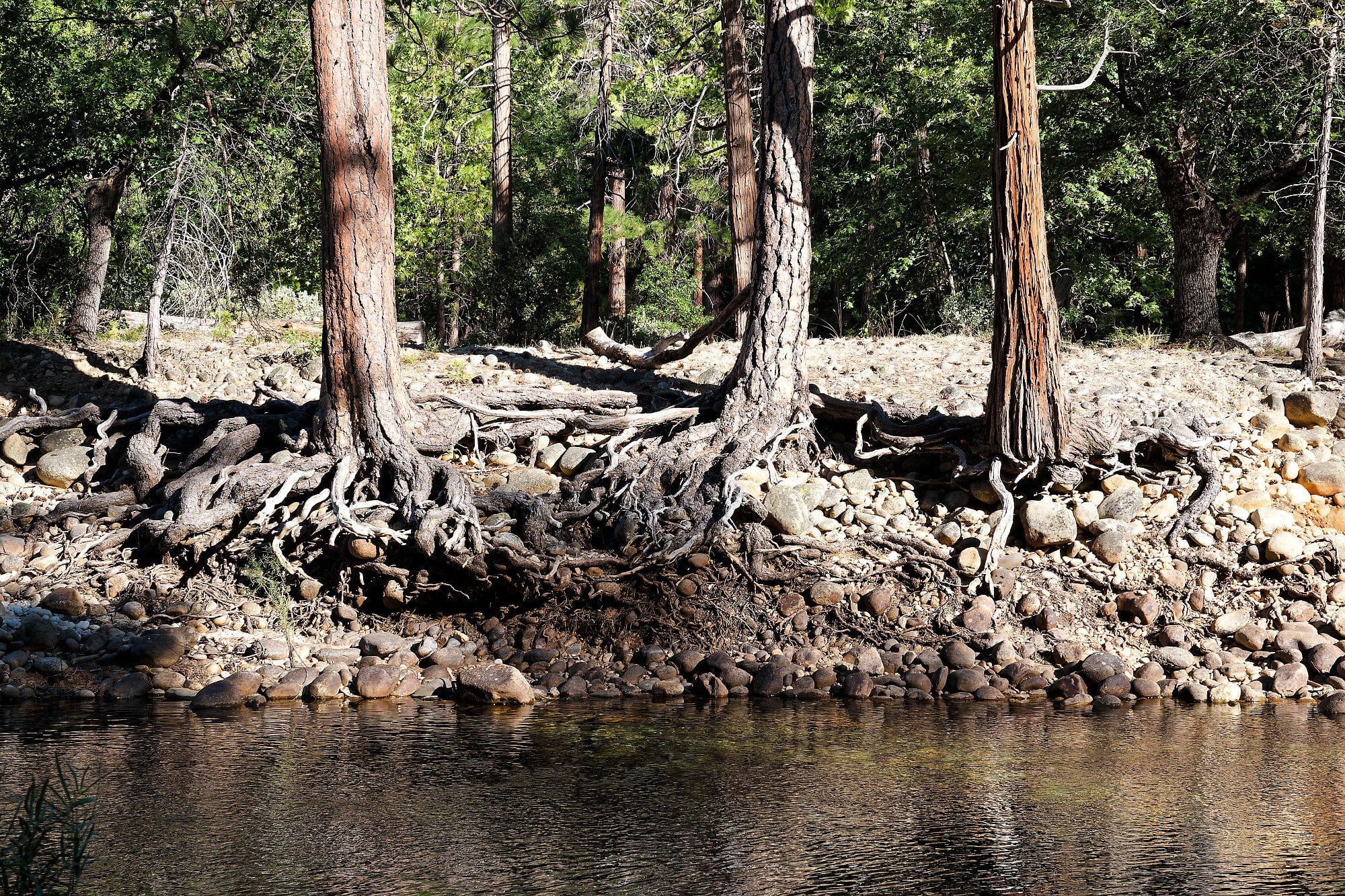 Grand Canyon of the Tuolumne, photograph 7 of 9