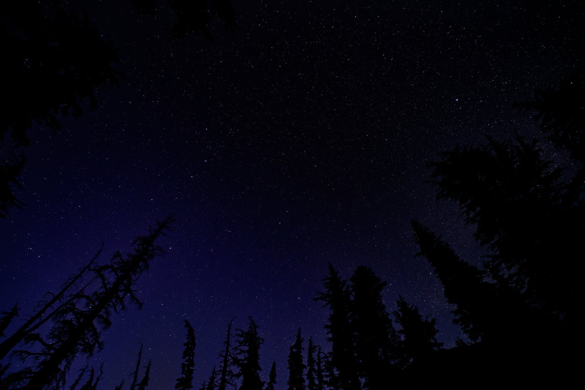 Desolation Wilderness, photograph 11 of 19