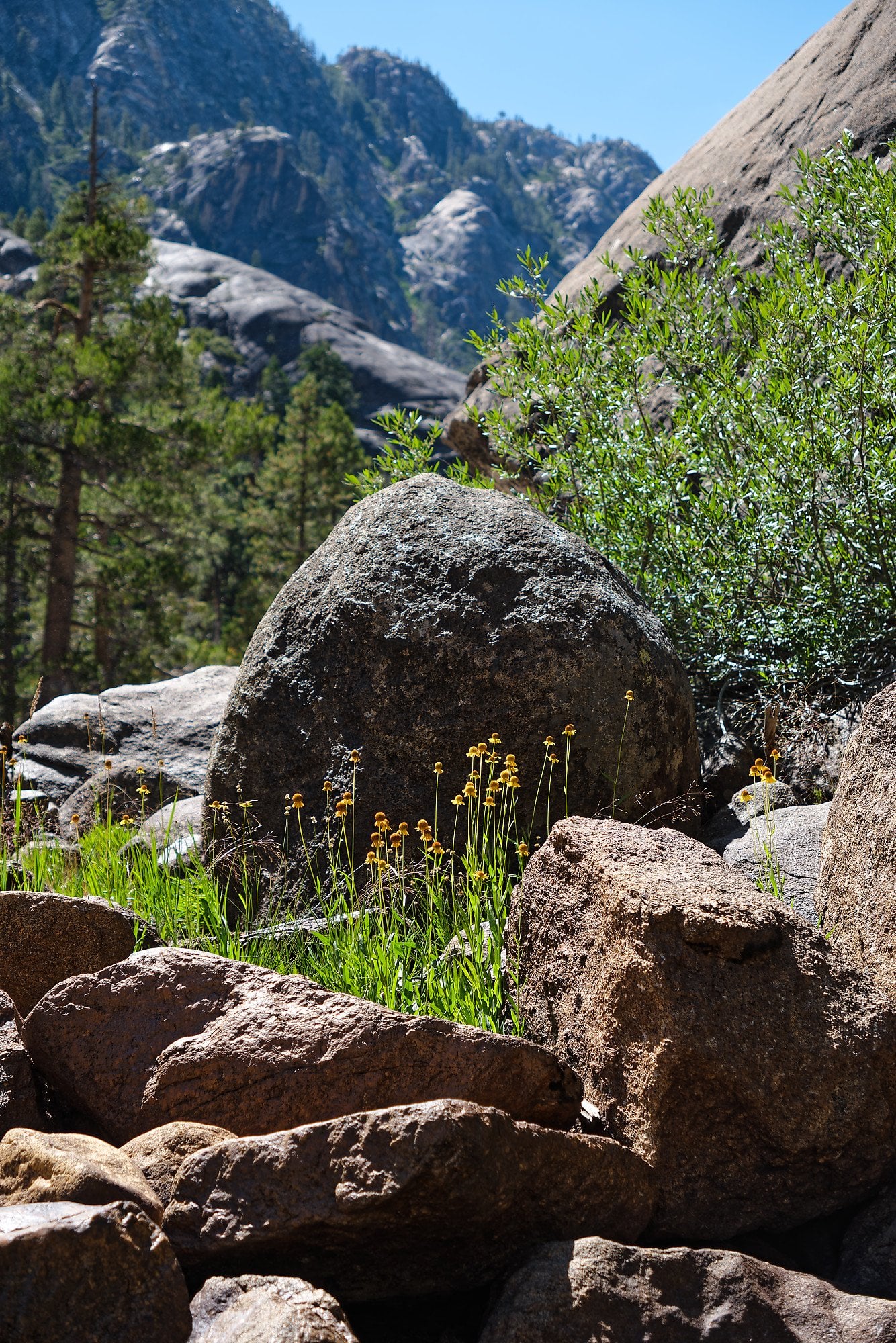 Grand Canyon of the Tuolumne, photograph 4 of 9