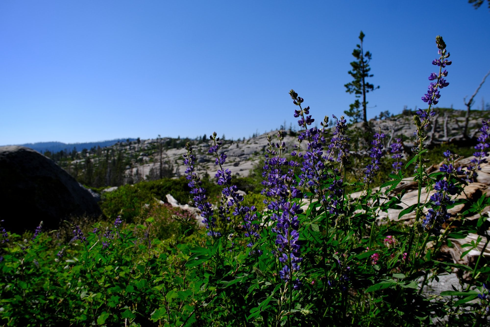 Desolation Wilderness, photograph 2 of 19