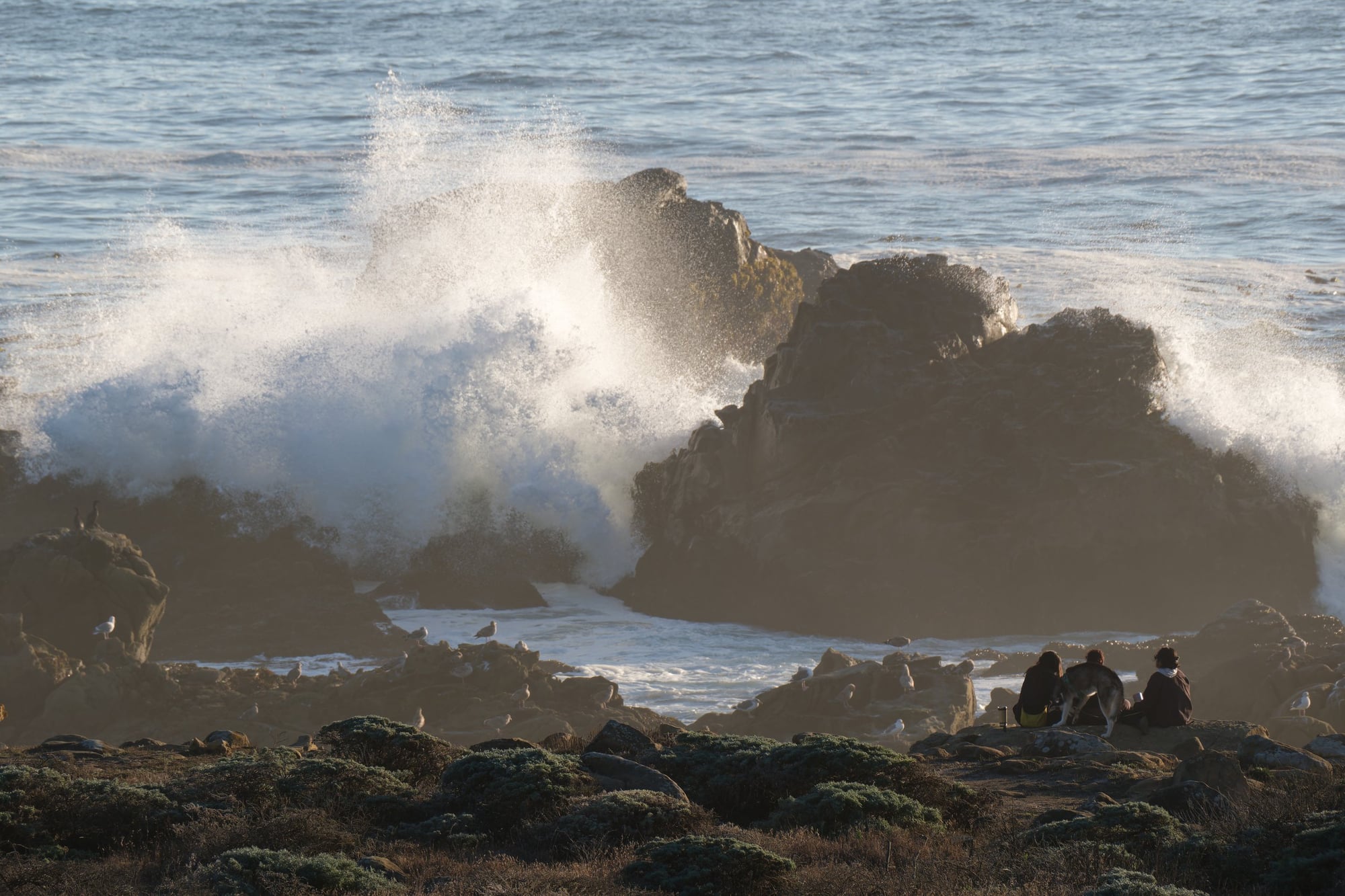 Salt Point State Park, photograph 4 of 7