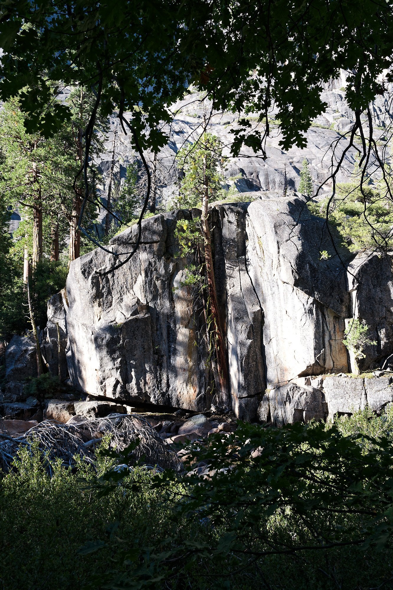Grand Canyon of the Tuolumne, photograph 5 of 9