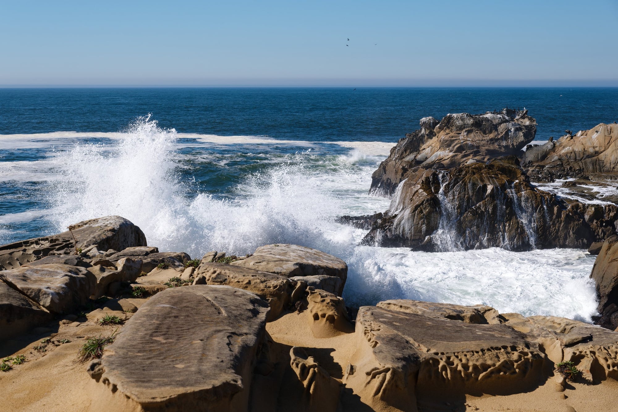 Salt Point State Park, photograph 2 of 7