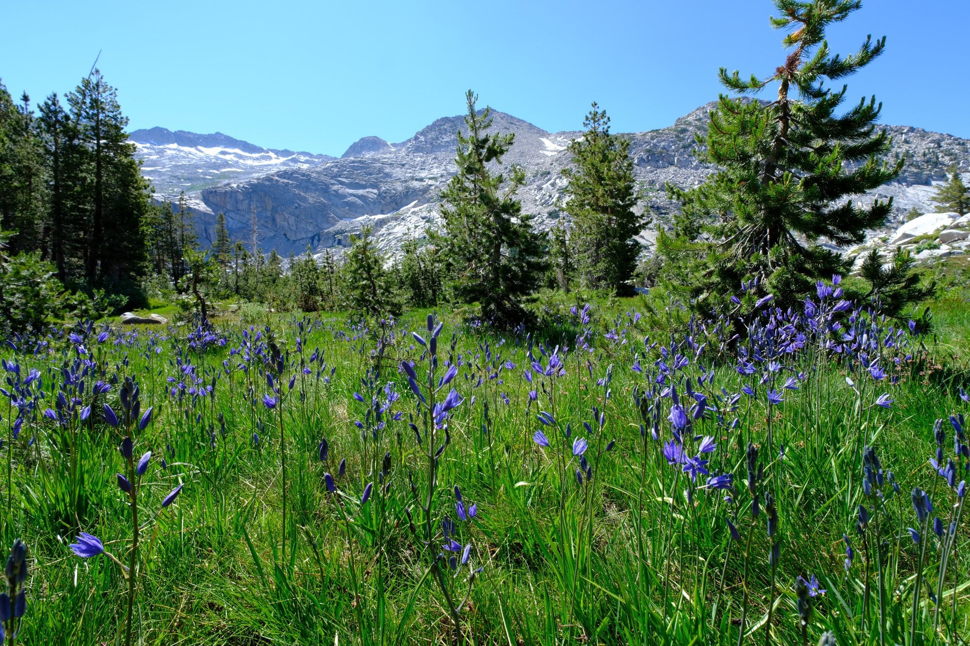 Desolation Wilderness, photograph 15 of 19