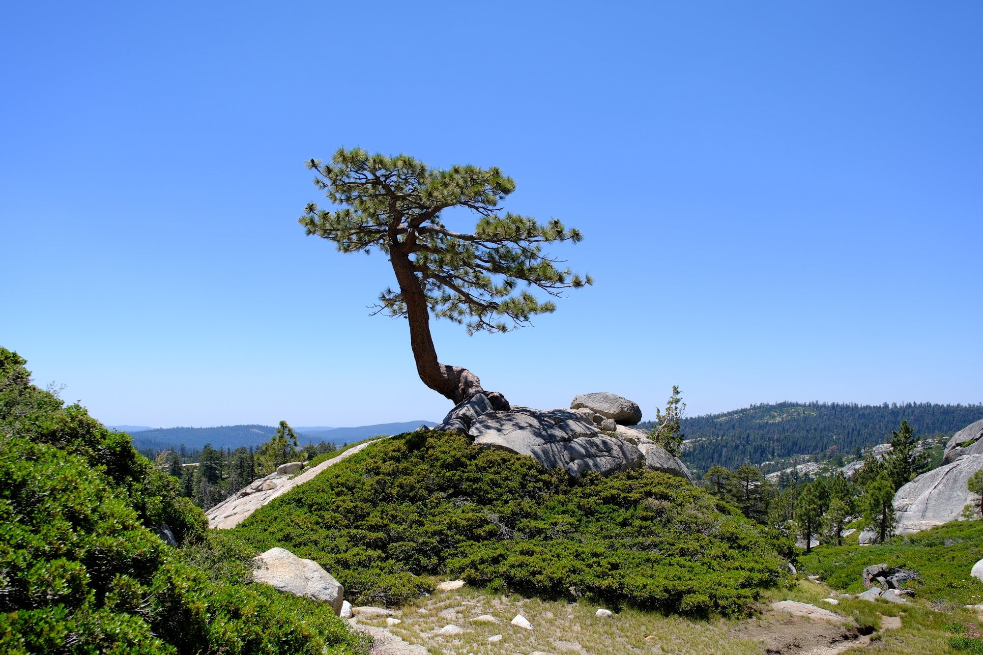 Desolation Wilderness, photograph 19 of 19
