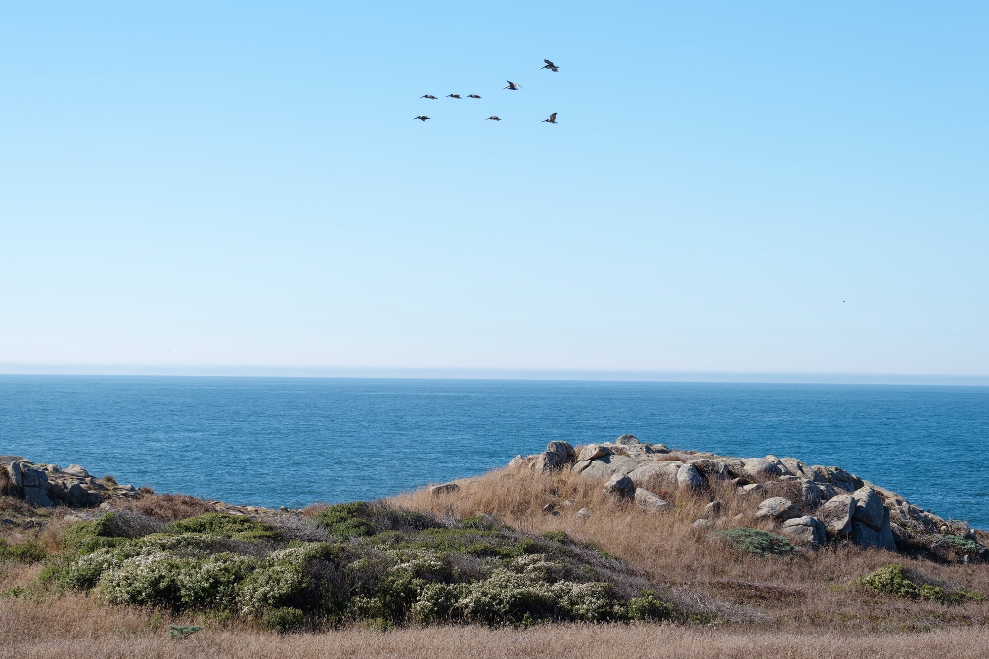 Salt Point State Park, photograph 3 of 7