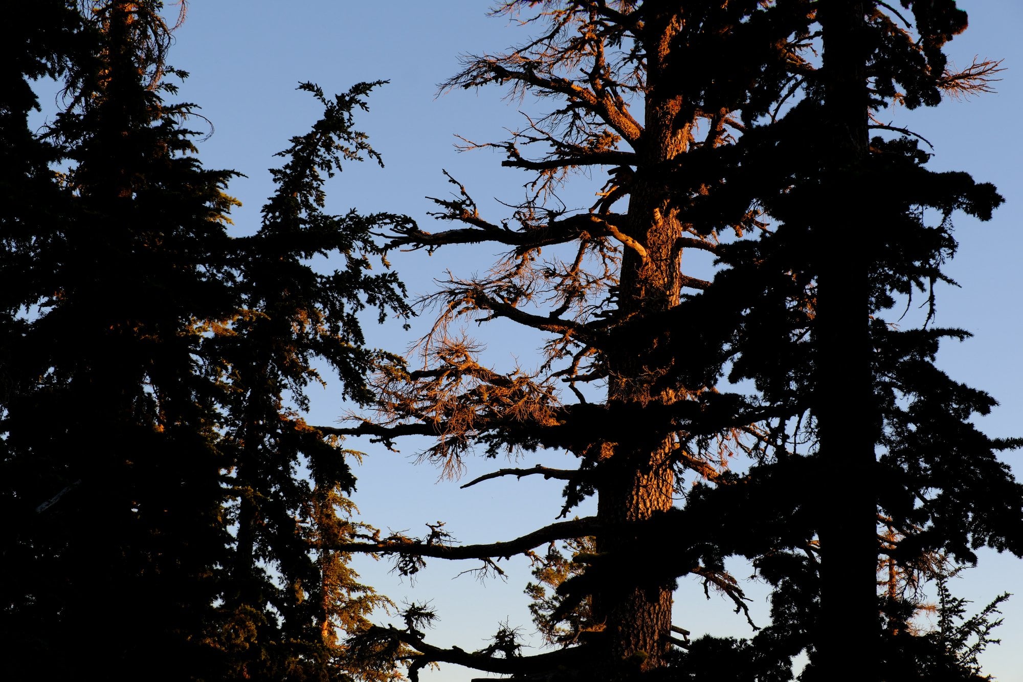 Desolation Wilderness, photograph 9 of 19