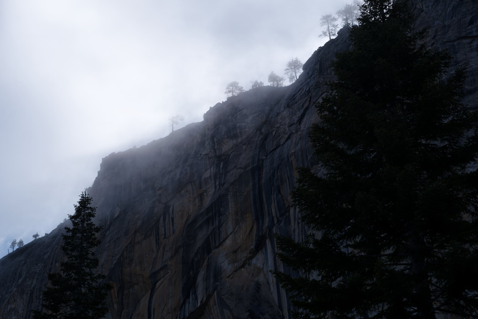 Yosemite, photograph 5 of 7