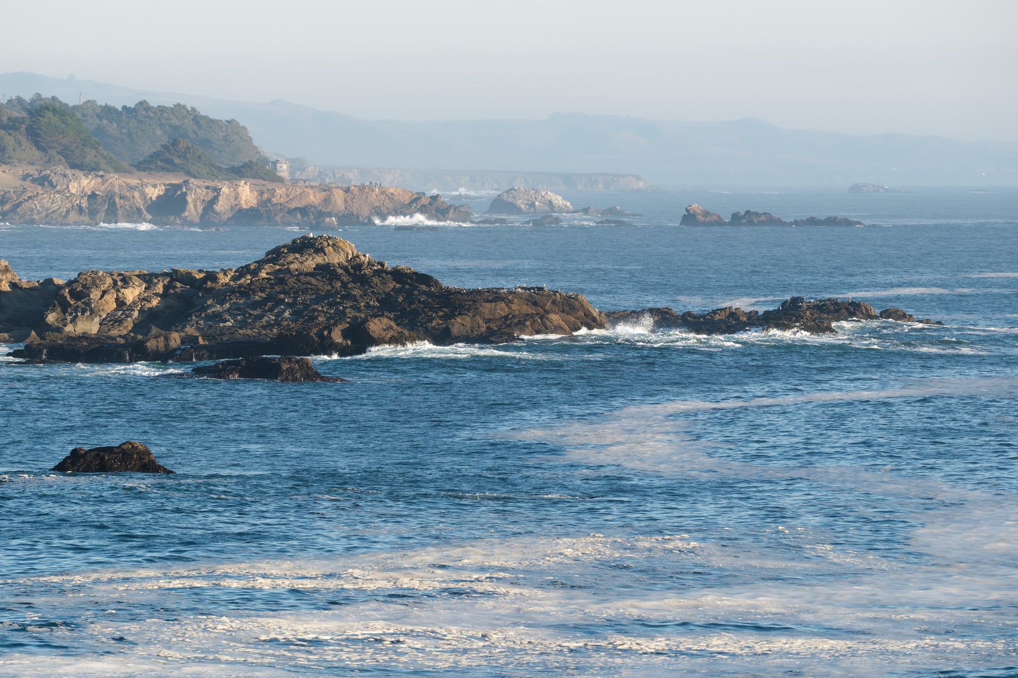 Cover photograph for Salt Point State Park