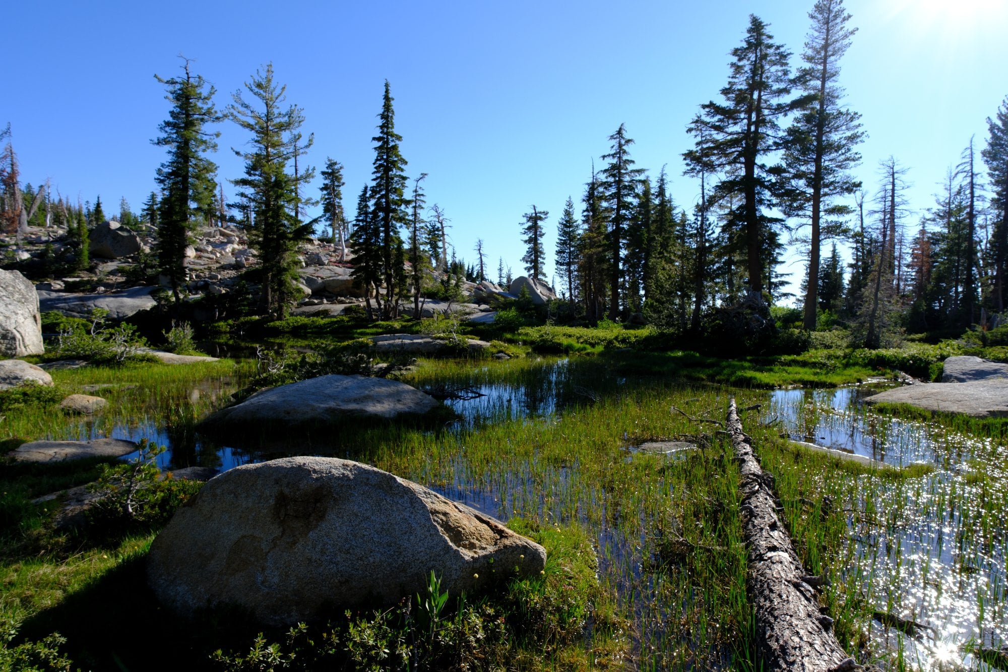 Desolation Wilderness, photograph 4 of 19