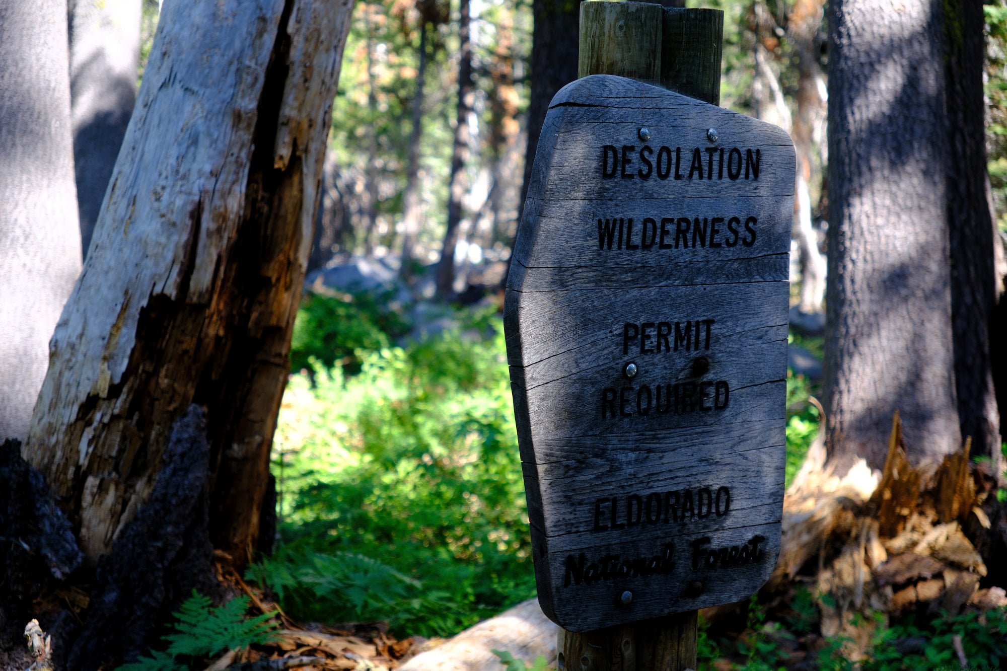 Cover photograph for Desolation Wilderness