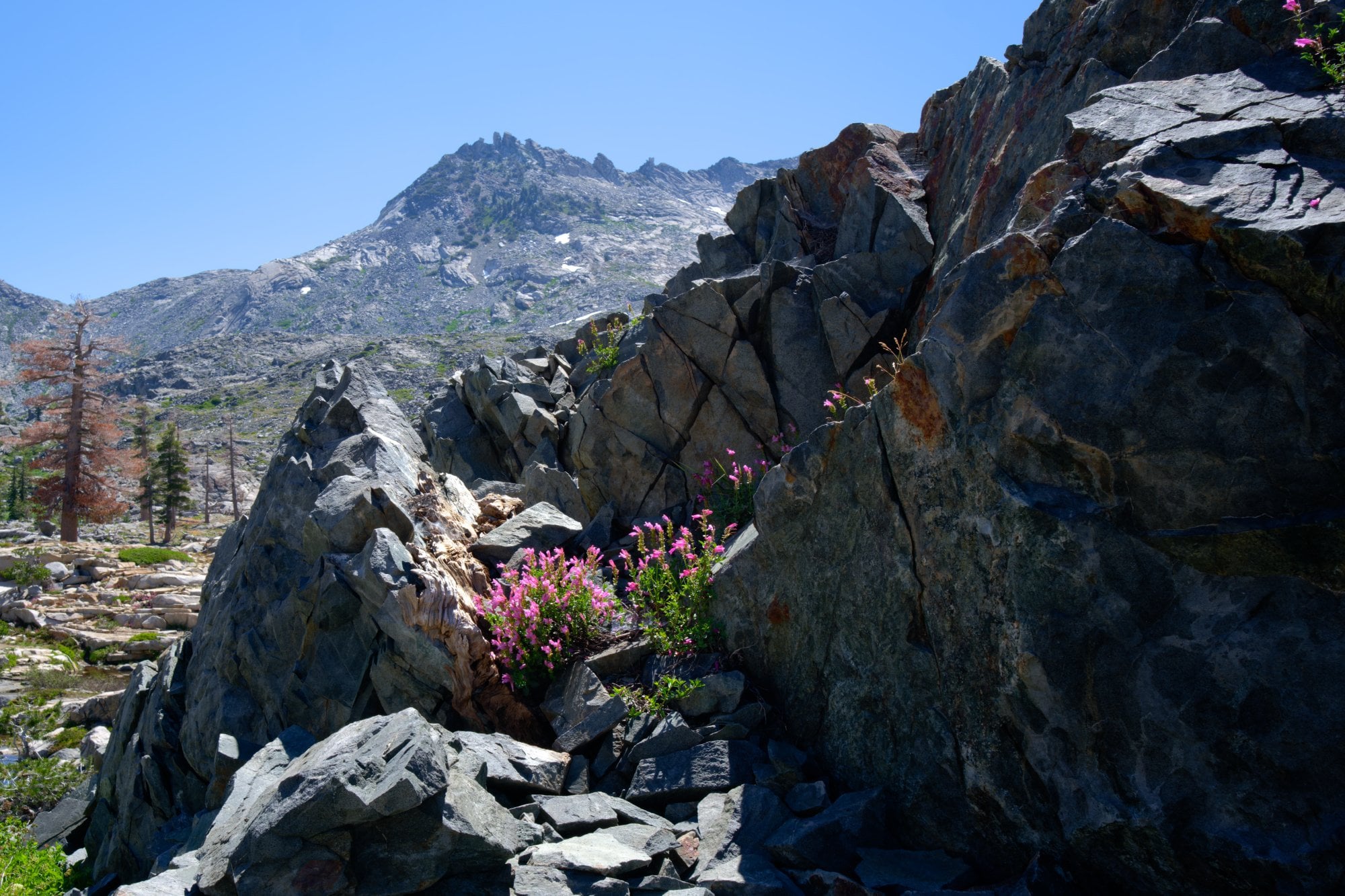 Desolation Wilderness, photograph 17 of 19