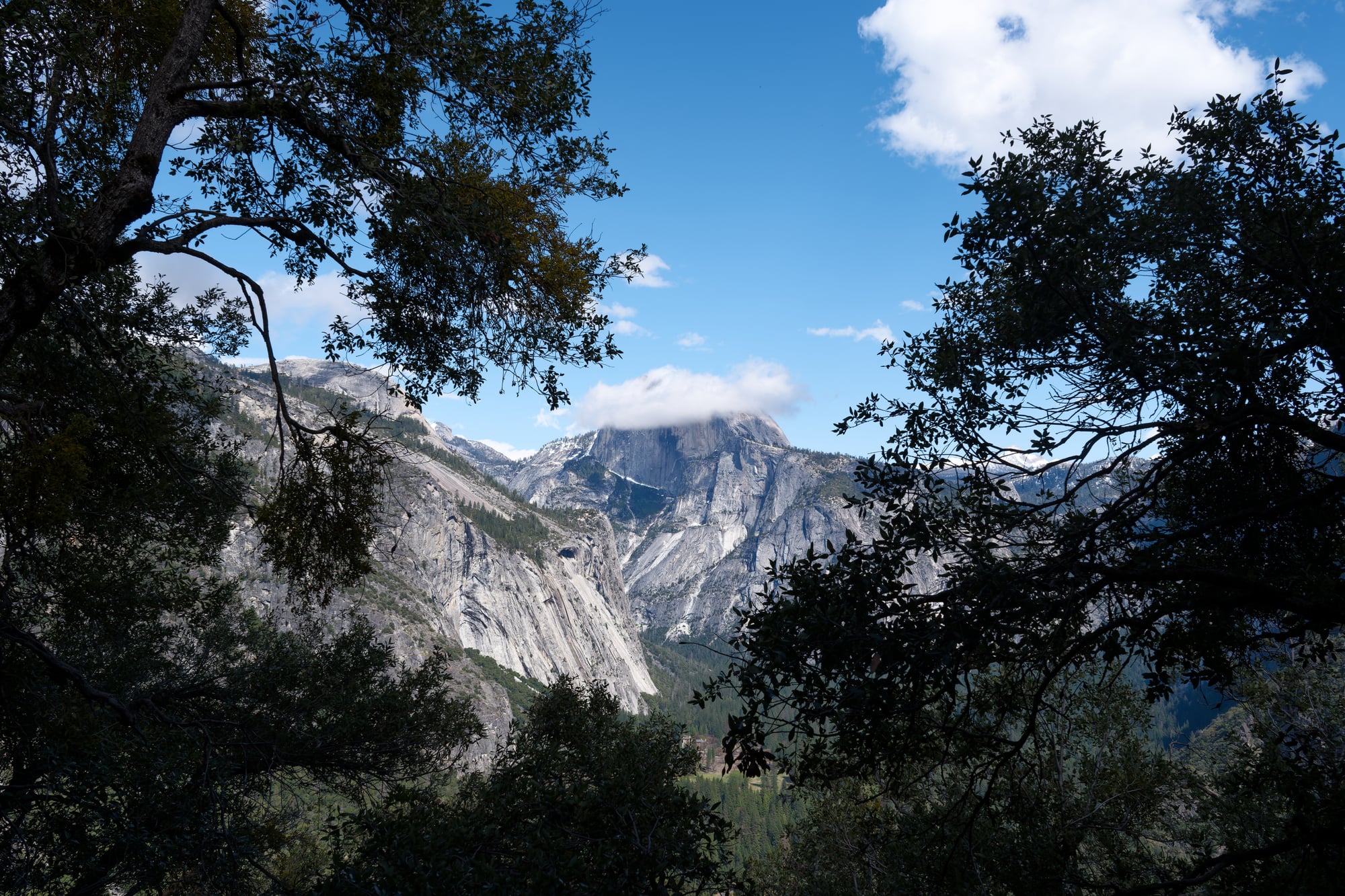 Yosemite, photograph 2 of 7