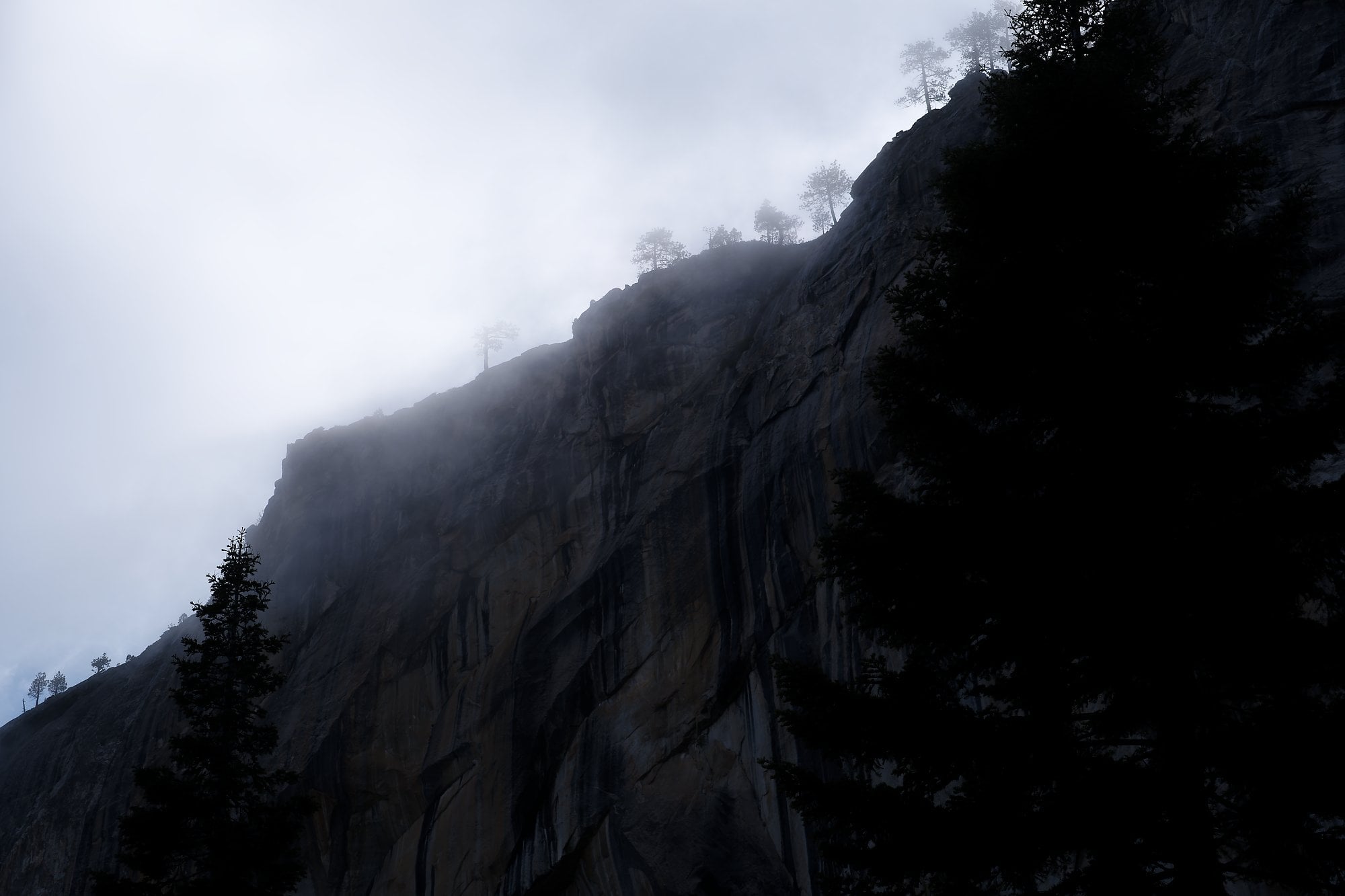 Yosemite, photograph 5 of 7